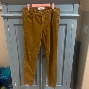 CAbi Tan Corduroy Pants